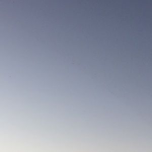 Meet your Posher, Nina